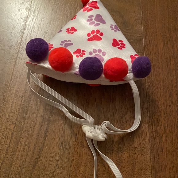 Dog - Birthday hat and bandana - Picture 2 of 2